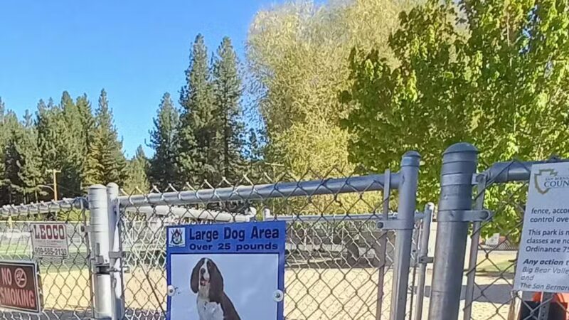 Bark Park - Big Bear Lake, CA