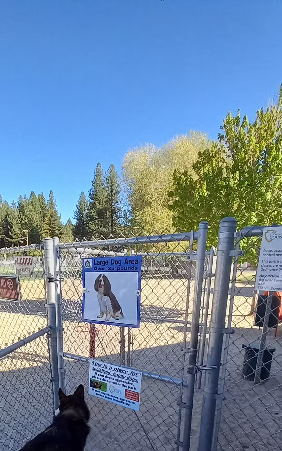 Bark Park - Big Bear Lake, CA