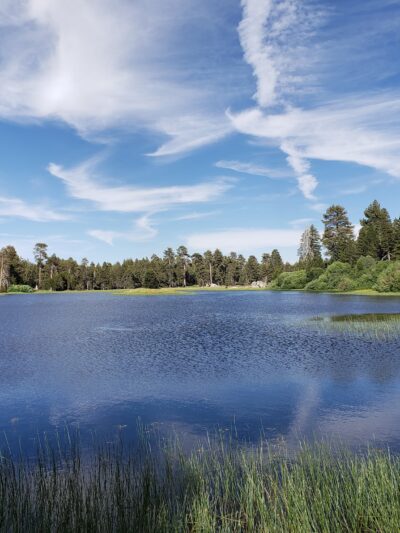 Bluff Lake Reserve - Big Bear Lake, CA