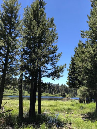 Bluff Lake Reserve - Big Bear Lake, CA