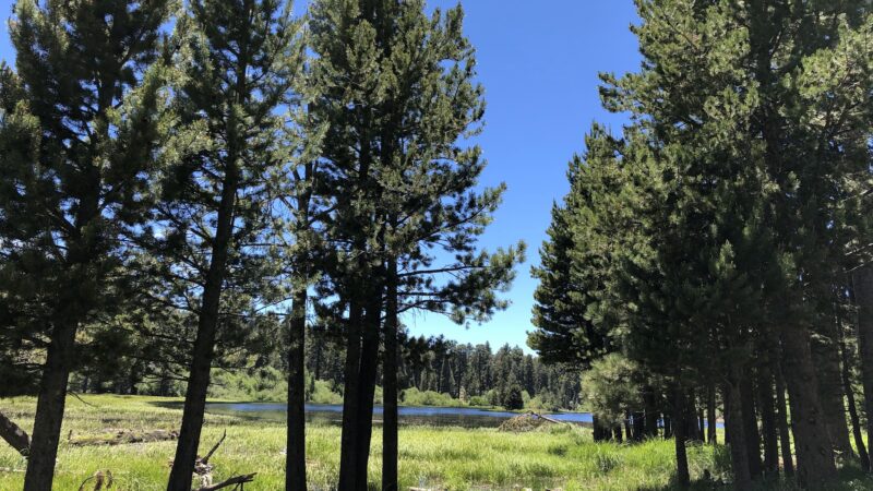 Bluff Lake Reserve - Big Bear Lake, CA
