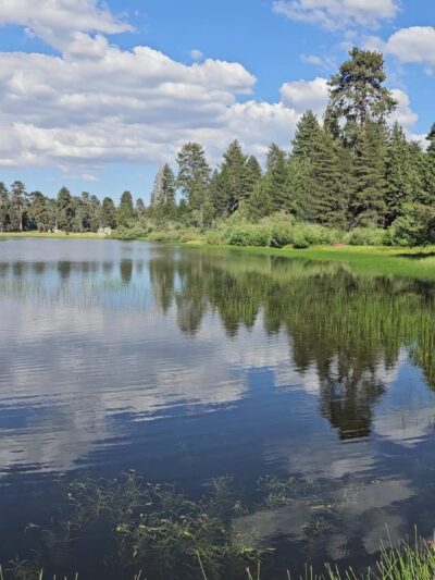 Bluff Lake Reserve - Big Bear Lake, CA