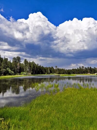 Bluff Lake Reserve - Big Bear Lake, CA