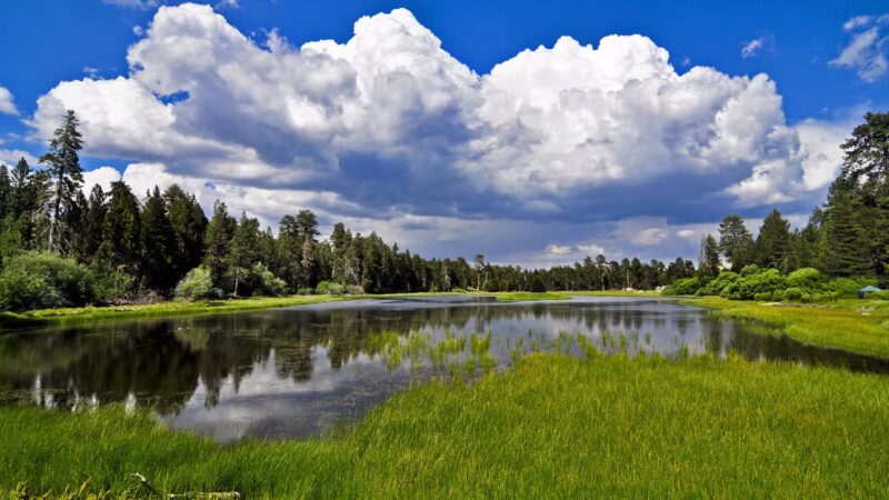 Bluff Lake Reserve - Big Bear Lake, CA