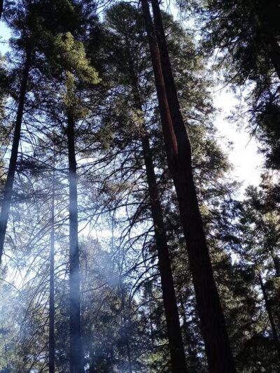 Deadlun Campground - Big Bend, CA