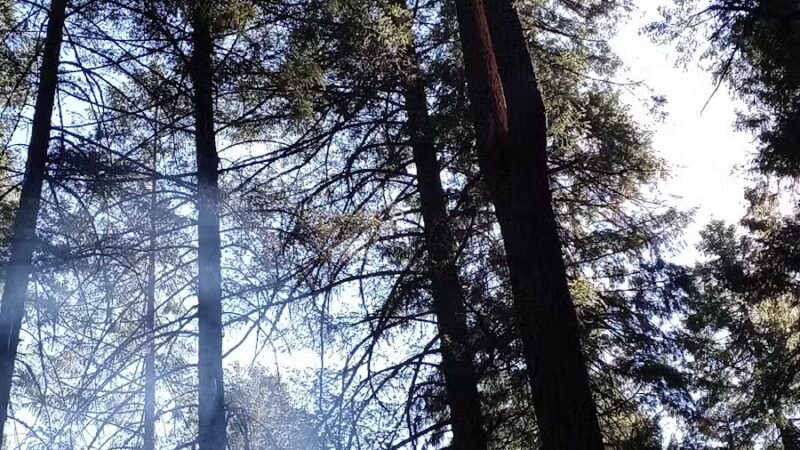 Deadlun Campground - Big Bend, CA
