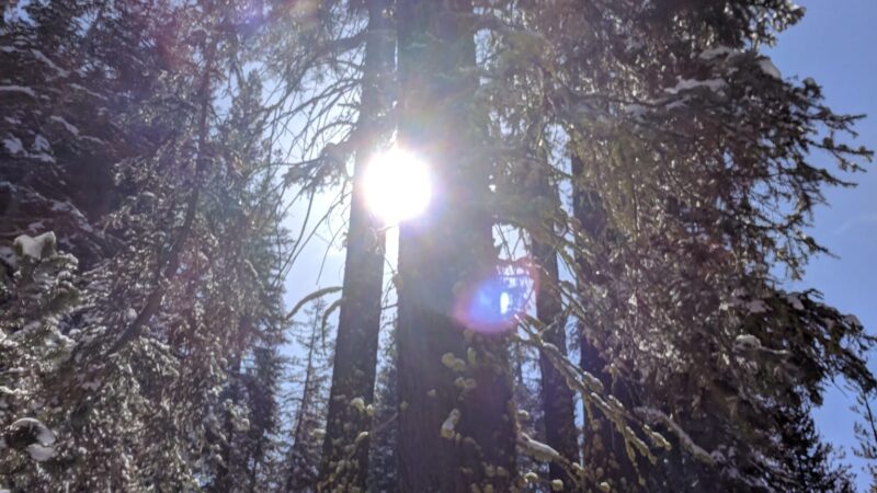 Coyote Sno-Park - Big Creek, CA