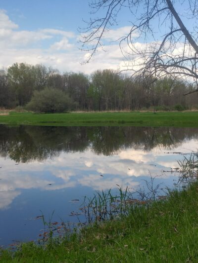 Big Flats Community Park - Big Flats, NY