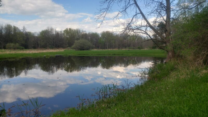 Big Flats Community Park - Big Flats, NY