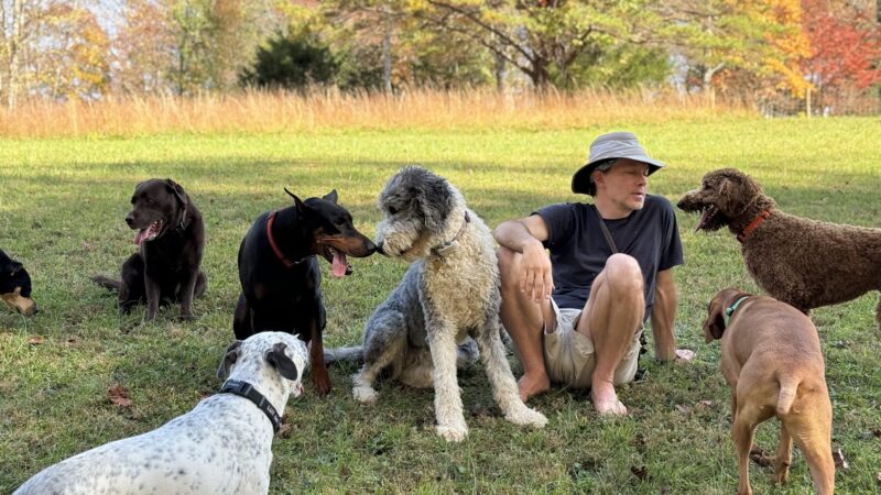 Happy Hound K9 Social Club - Big Island, VA
