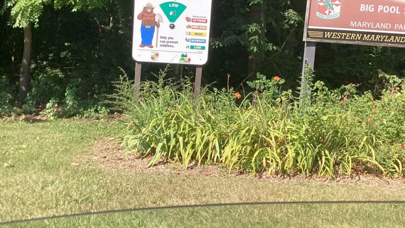 Parking for Western Maryland Rail Trail - Big Pool, MD
