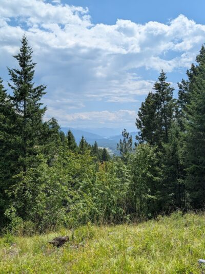 Harrell Forest Community Trails - Bigfork, MT