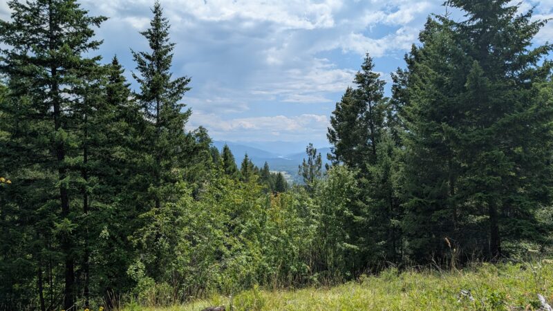 Harrell Forest Community Trails - Bigfork, MT