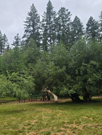 Sliter's Park - Bigfork, MT