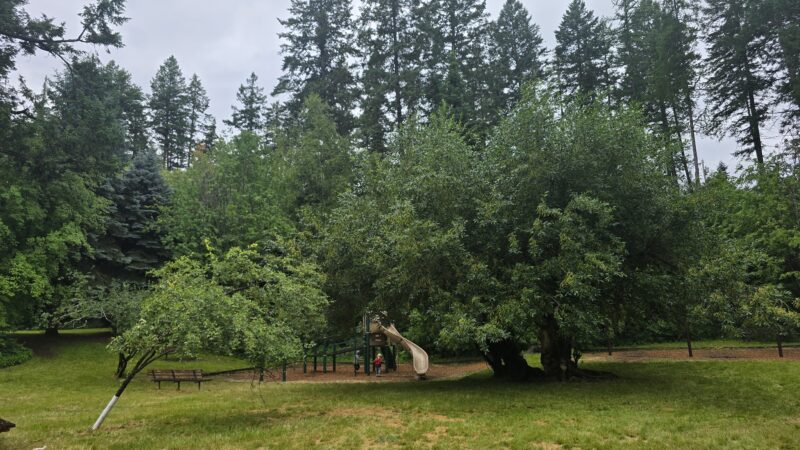 Sliter's Park - Bigfork, MT