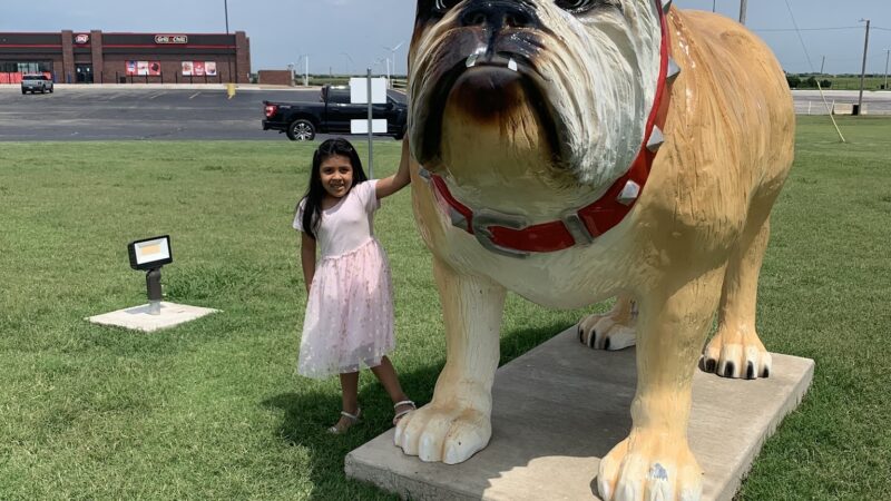 Big Dogs Statue Dog Park - Billings, OK