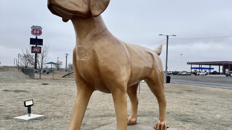 Big Dogs Statue Dog Park - Billings, OK