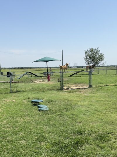 Big Dogs Statue Dog Park - Billings, OK