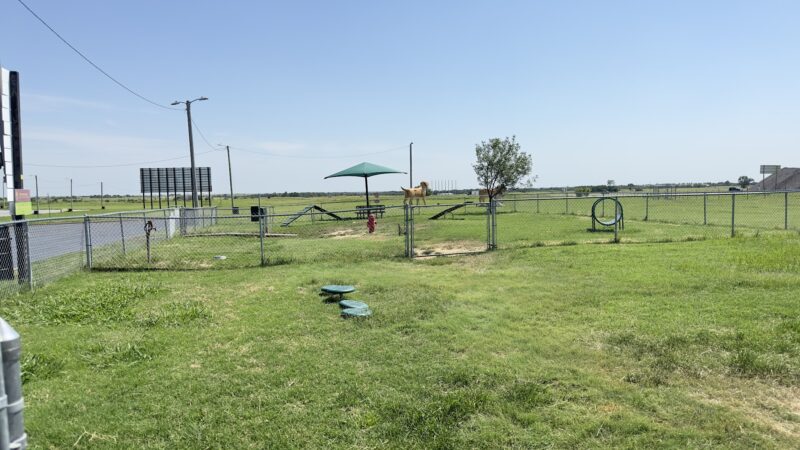 Big Dogs Statue Dog Park - Billings, OK