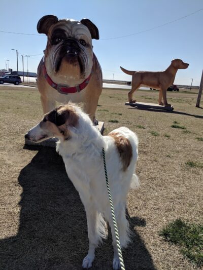 Big Dogs Statue Dog Park - Billings, OK