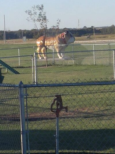 Big Dogs Statue Dog Park - Billings, OK