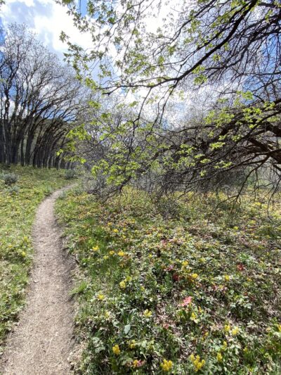 Butterfield Canyon - Bingham Canyon, UT