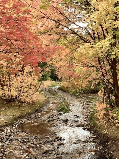 Butterfield Canyon - Bingham Canyon, UT