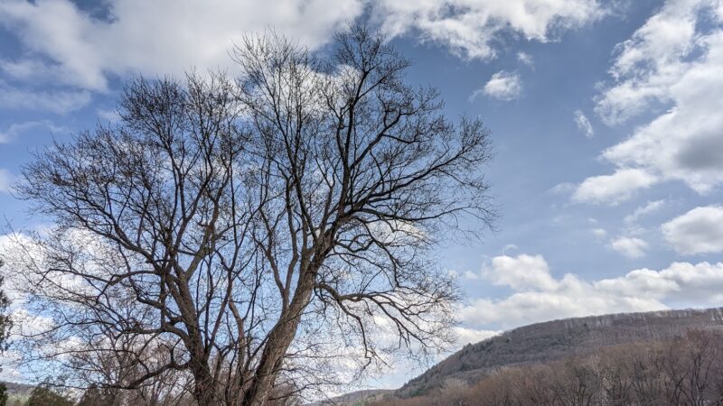 Chenango Bridge Park - Binghamton, NY