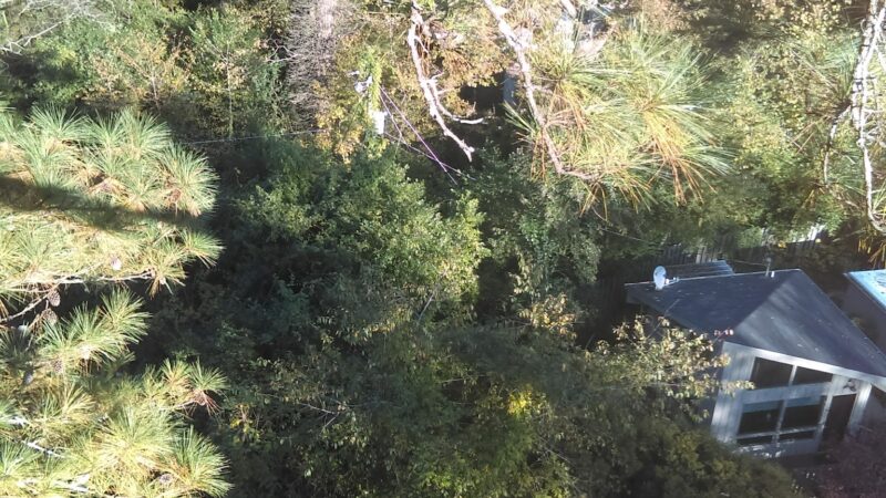 Crestline Park - Birmingham, AL