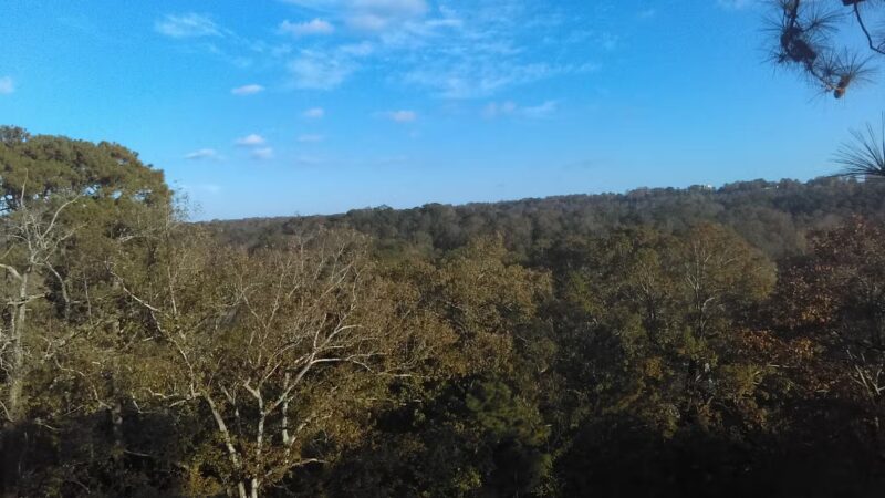 Crestline Park - Birmingham, AL