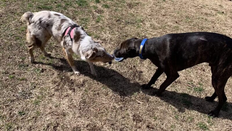 Crestline Park - Birmingham, AL