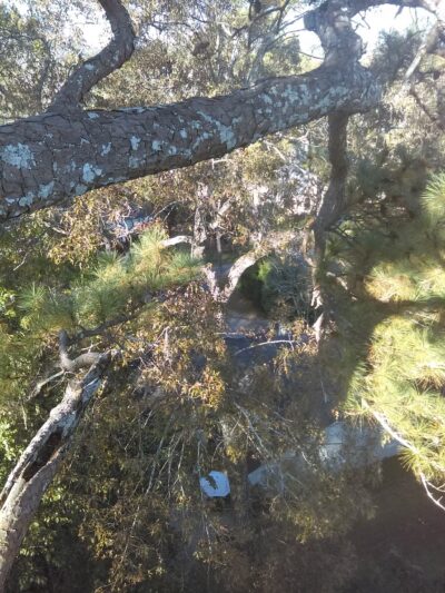 Crestline Park - Birmingham, AL