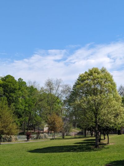 Exchange Park - Birmingham, AL