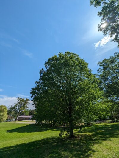 Exchange Park - Birmingham, AL