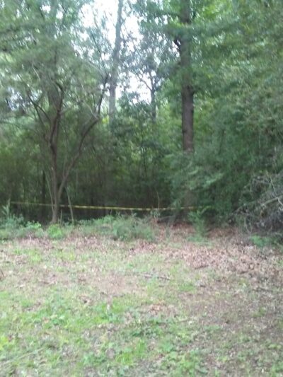 Forestdale Community Park - Birmingham, AL