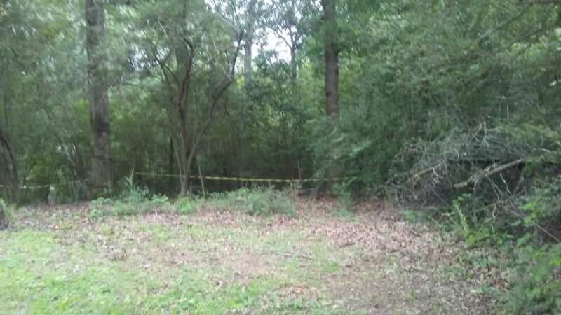 Forestdale Community Park - Birmingham, AL