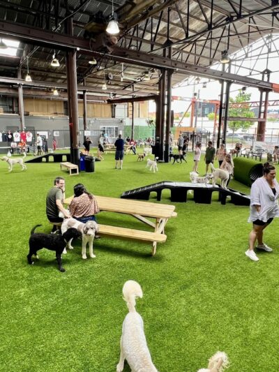 Good Dog Hotel + Bar + Park - Birmingham, AL