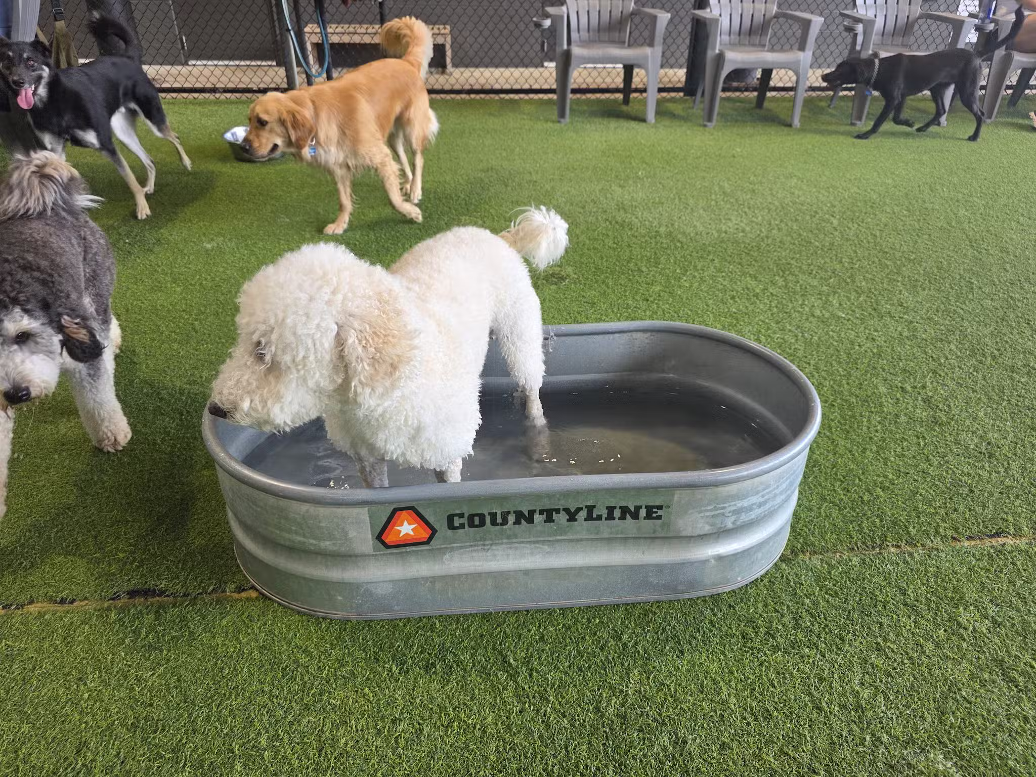 Good Dog Hotel + Bar + Park - Birmingham, AL