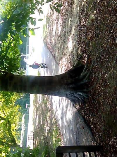 Heardmont Park - Birmingham, AL