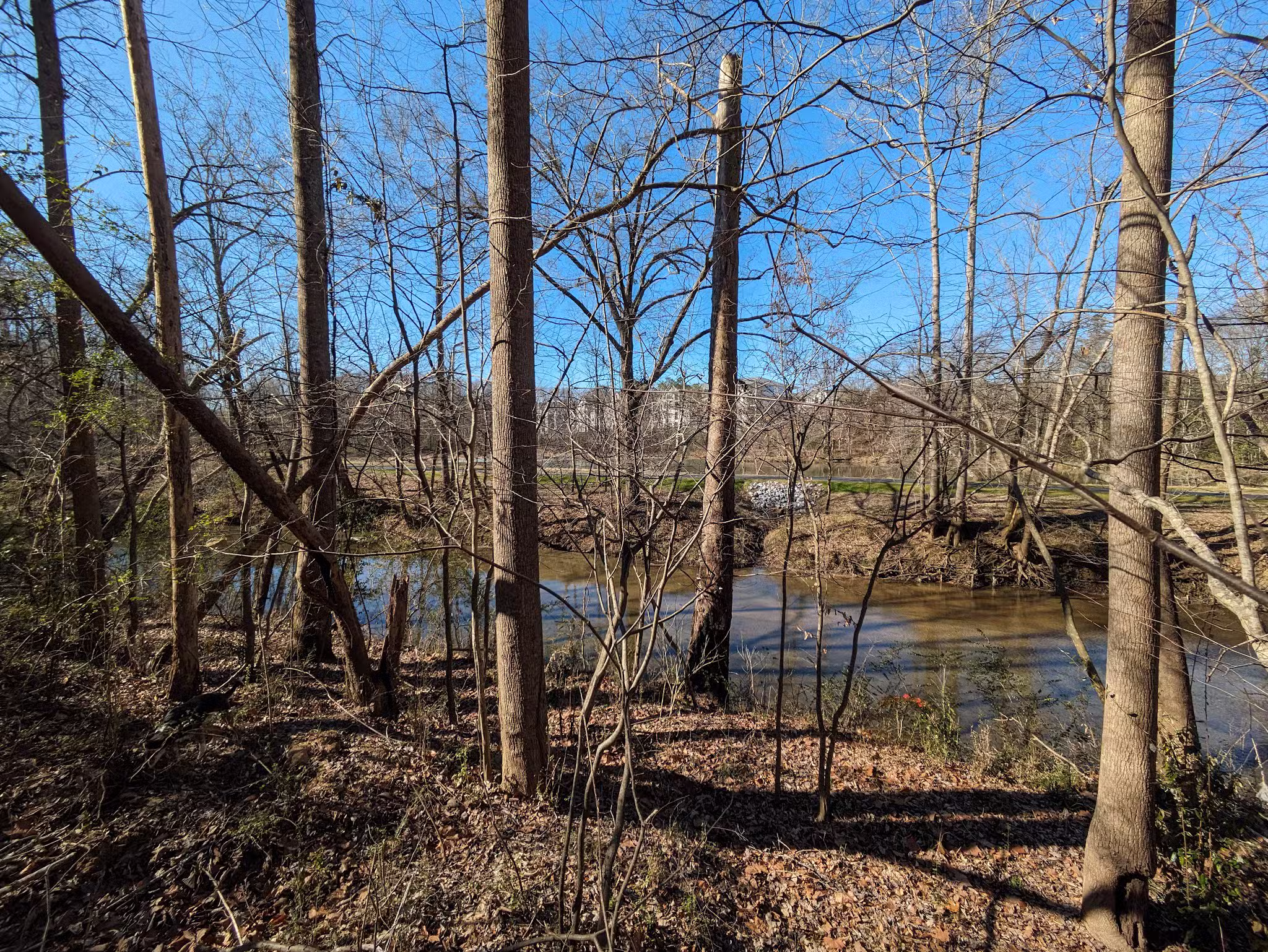 Homewood Shades Creek Greenway -Western Trailhead - Birmingham, AL