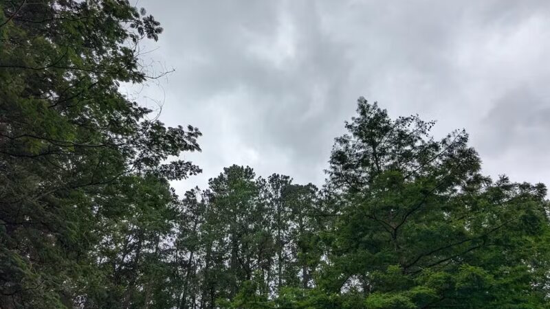 Oxmoor Park - Birmingham, AL