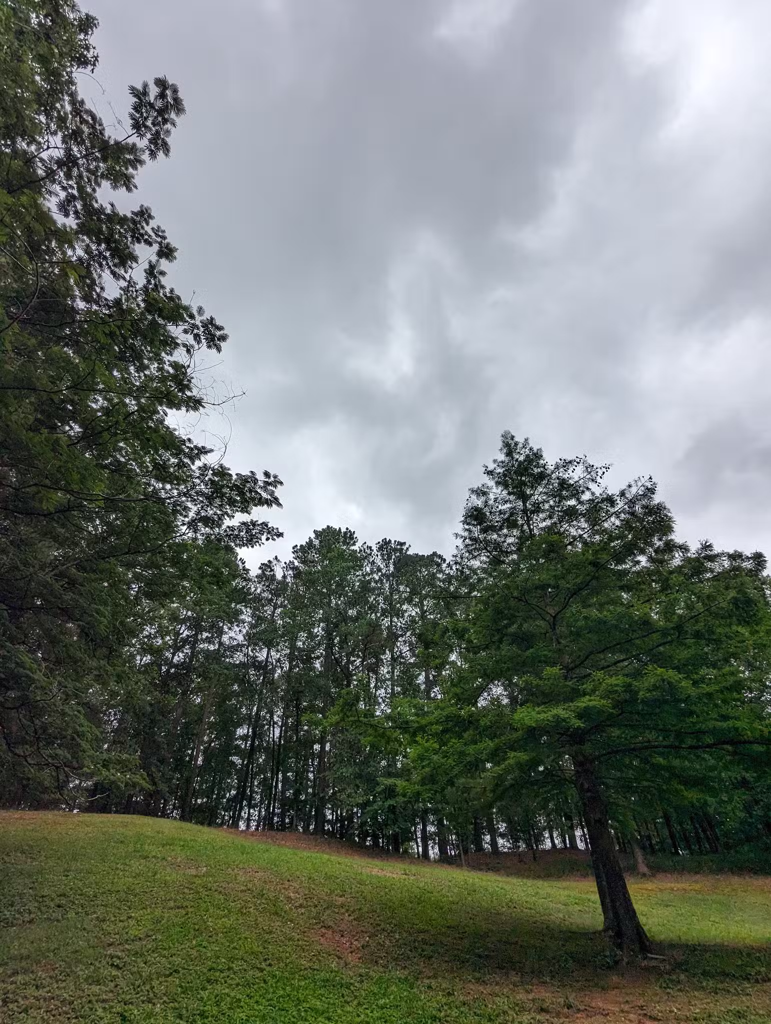 Oxmoor Park - Birmingham, AL