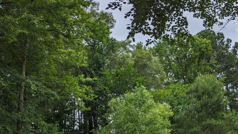 Oxmoor Park - Birmingham, AL