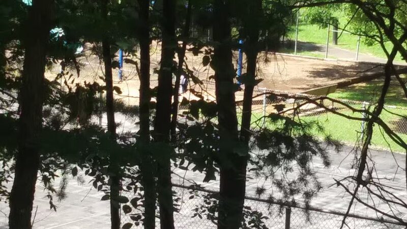 Pine Knoll Park - Birmingham, AL