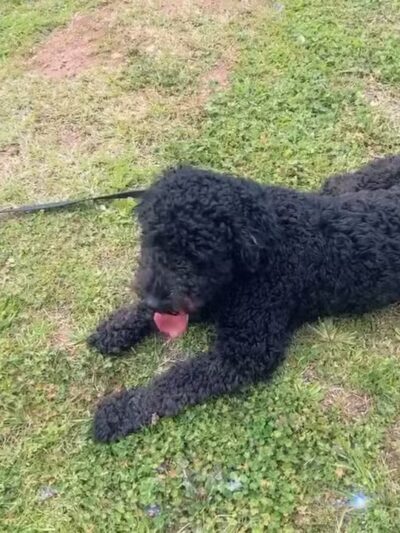 Red Mountain Park - Birmingham, AL