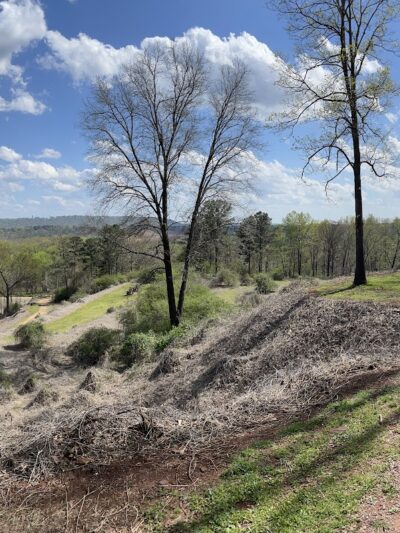 Red Mountain Pollinator Garden Pergola - Birmingham, AL
