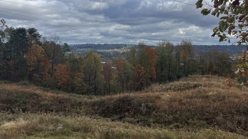 Riley’s Roost - Birmingham, AL