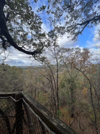 Riley’s Roost - Birmingham, AL