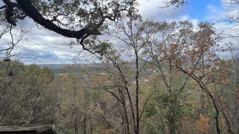 Riley’s Roost - Birmingham, AL