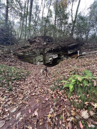 Riley’s Roost - Birmingham, AL